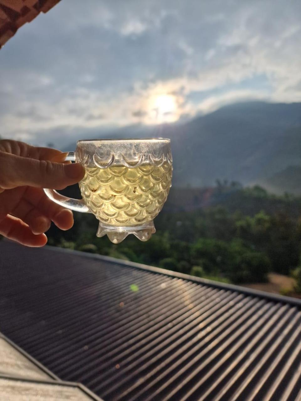 مبيت وإفطار دالات Farm Co Chu Tuan Ha المظهر الخارجي الصورة
