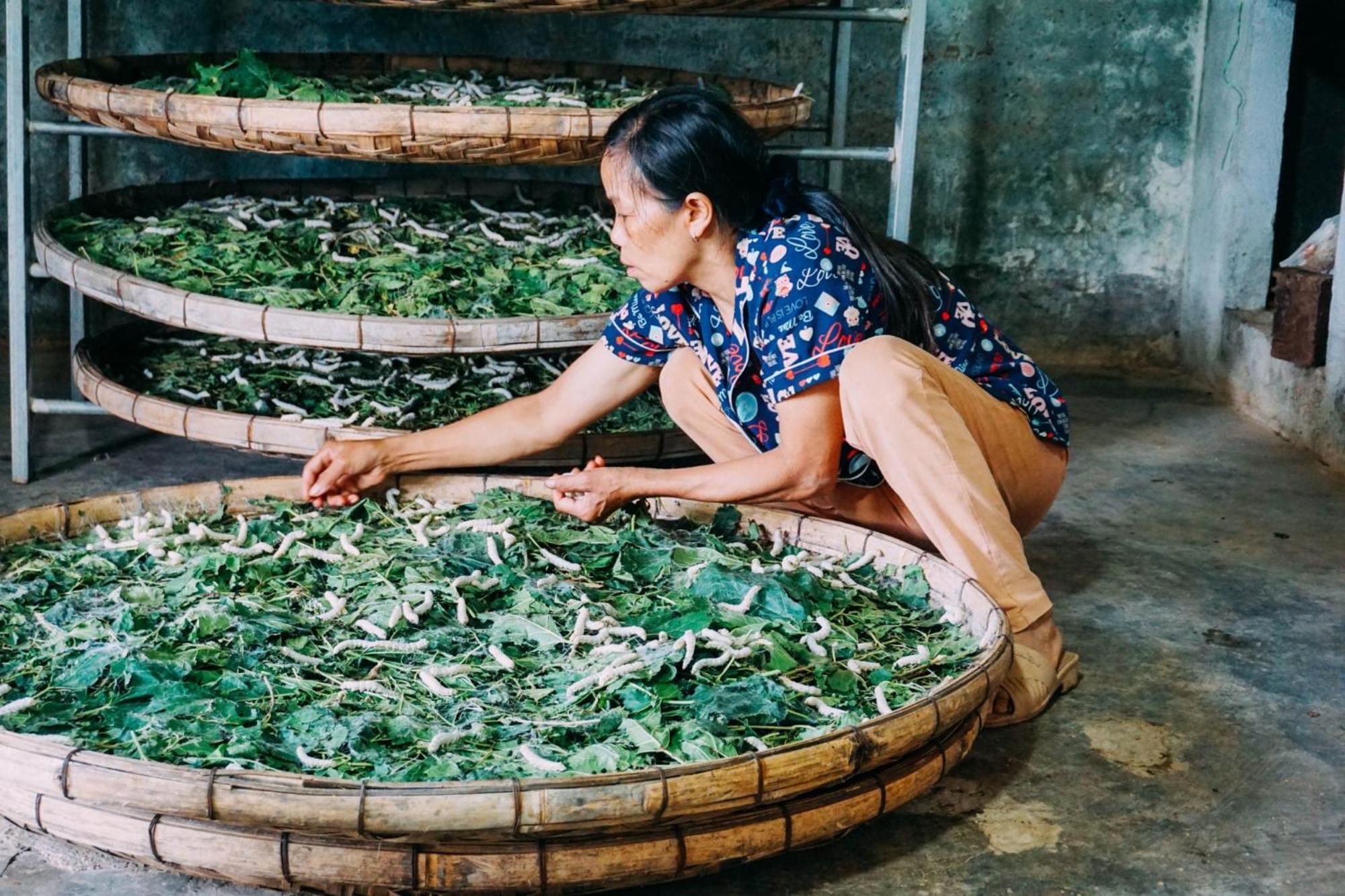 مبيت وإفطار دالات Farm Co Chu Tuan Ha المظهر الخارجي الصورة