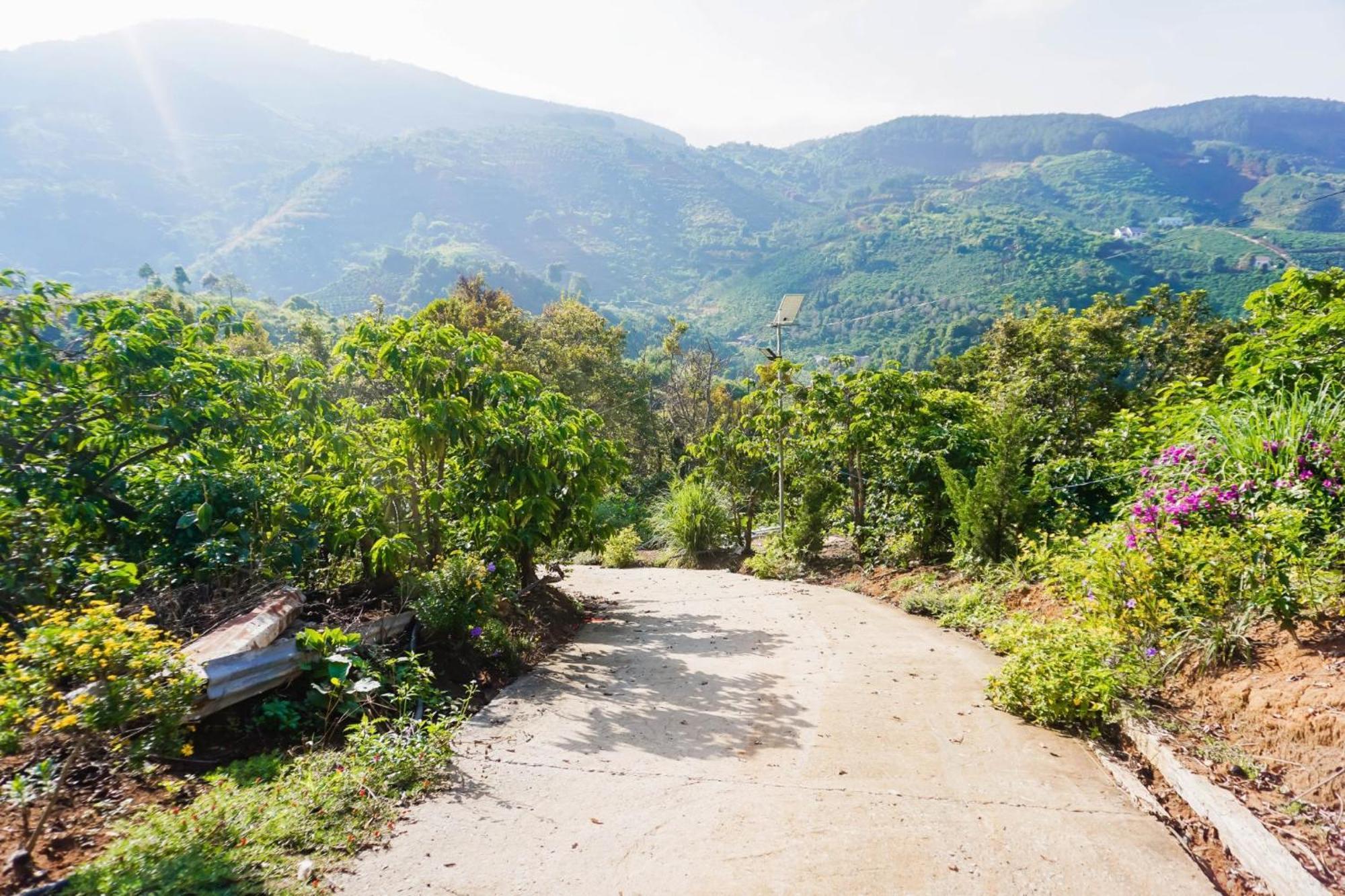 مبيت وإفطار دالات Farm Co Chu Tuan Ha المظهر الخارجي الصورة